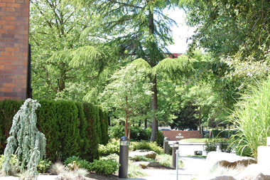 Seattle cosmetic surgery - Pratt Plastic Surgery Center